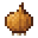 Onion